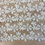 Lace see through beige